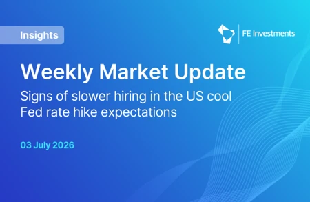 Insights FEI Website Teaser 3.7.26